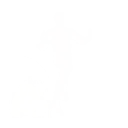 Sparrow Run — Fortnite emote