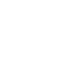 Smooth Slide — Fortnite emote icon