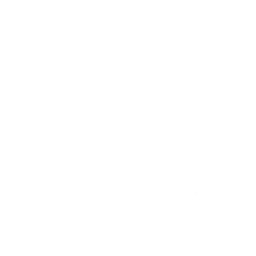 Tempest Flight — Fortnite emote icon