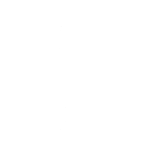 The Airplane — Fortnite emote icon