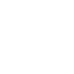 Visitor's Reflexes — Fortnite emote icon