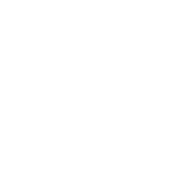 Raiden's Victory — Fortnite emote icon