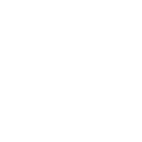 Raiden's Victory — Fortnite emote