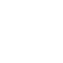 Tower Guard — Fortnite emote