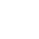 Champion's Celebration — Fortnite emote