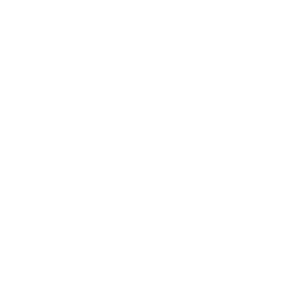 Shadow Play: Toad — Fortnite emote