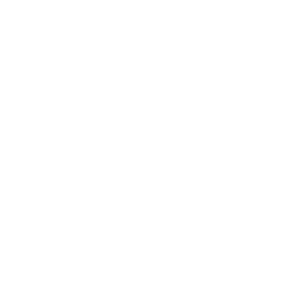 Shadow Play: Dog — Fortnite emote