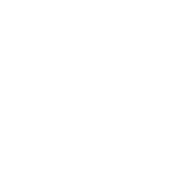 Shadow Play: Max Elephant — Fortnite emote