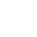 Victory Trophy — Fortnite emote