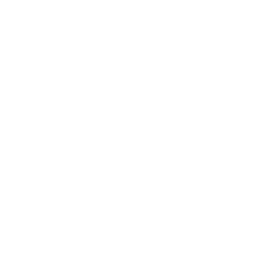 Icy Wind — Fortnite emote icon