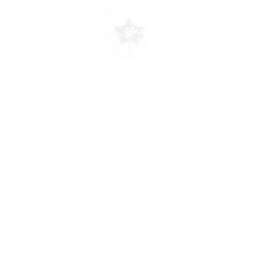 Wishing Star — Fortnite emote icon