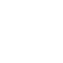 Katana Presentation — Fortnite emote icon