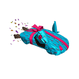 Wrapped and Revved — Fortnite glider
