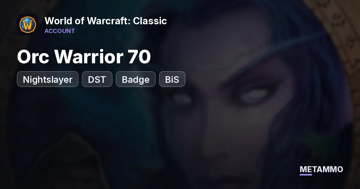 Nightslayer - Orc Warrior 70 ■ DST + Badge ■ BiS ■ - World of Warcraft: Classic account summary
