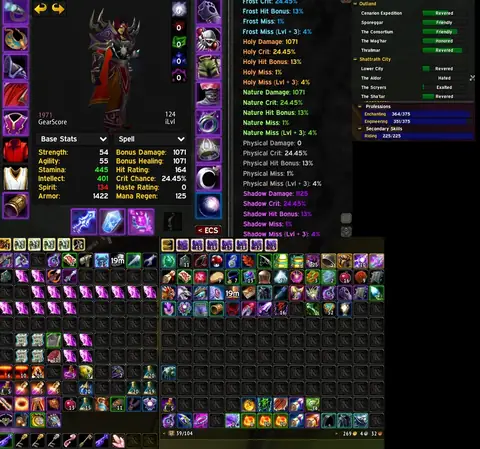 Nightslayer - Warlock 70 ■ GS 1979 ■ Full BiS ■ Hit Cap ■ - World of Warcraft: Classic account screenshot 1