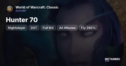 Nightslayer - Hunter 70 ■ DST ■ Full BiS ■ All Attunes ■ Fly 280% ■