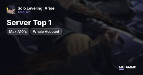 Server Top 1 | Max A10's | Whale Account