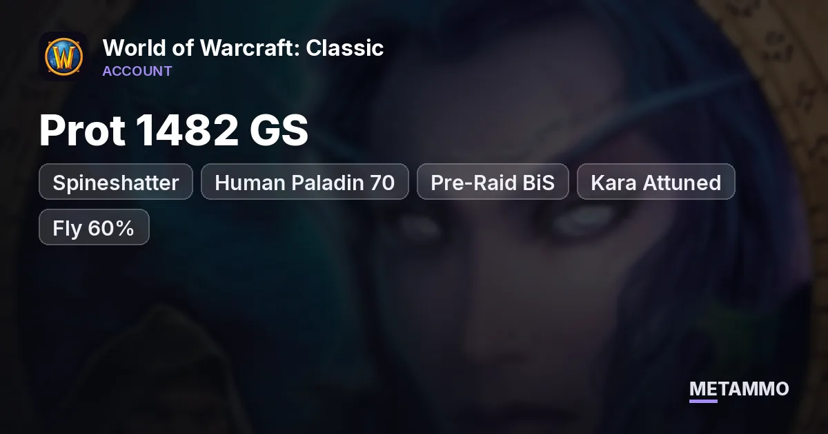 Spineshatter - Human Paladin 70 ■ Prot 1482 GS ■ Pre-Raid BiS ■ Kara Attuned ■ Fly 60% - World of Warcraft: Classic account summary
