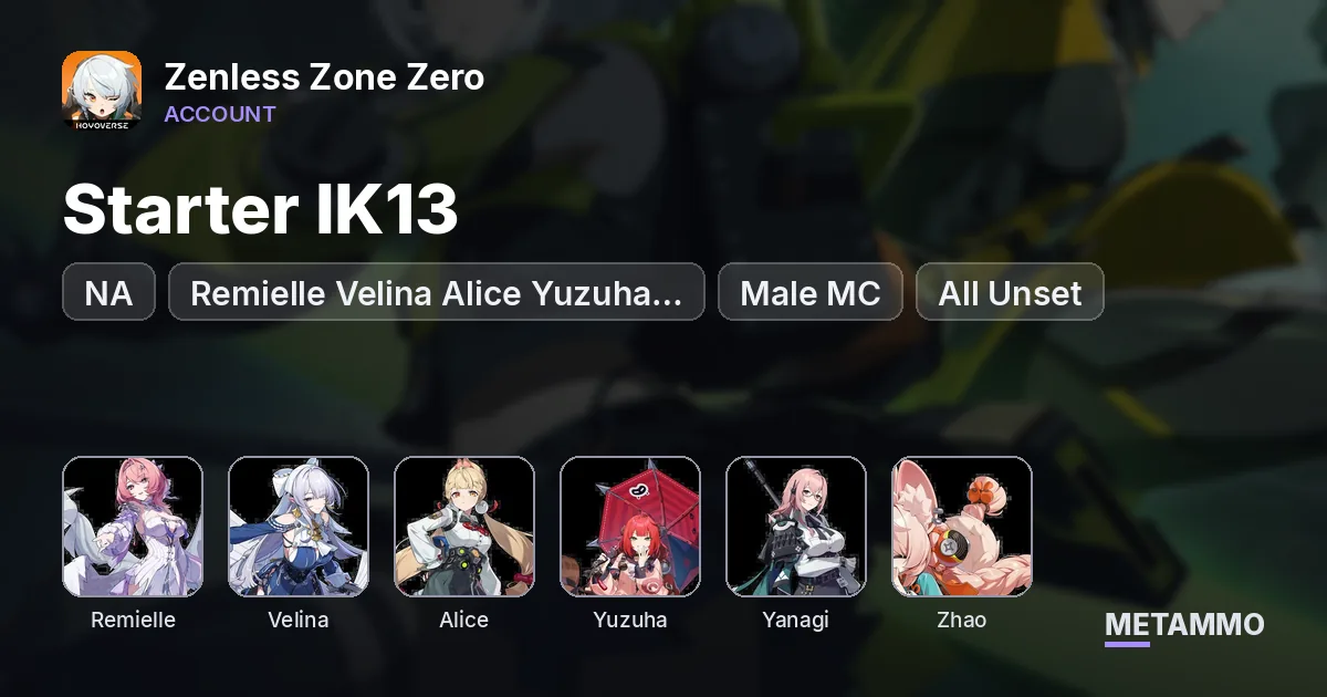 NA Starter IK13 | Remielle Velina Alice Yuzuha Yanagi Zhao | Male MC | All Unset - Zenless Zone Zero account summary