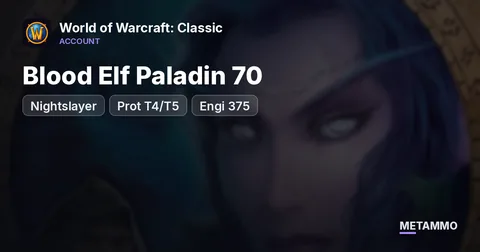 Nightslayer - Blood Elf Paladin 70 ■ Prot T4/T5 ■ Engi 375