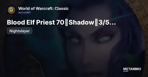 Nightslayer - Blood Elf Priest 70◈Shadow◈3/5 T5◈Tailoring 375