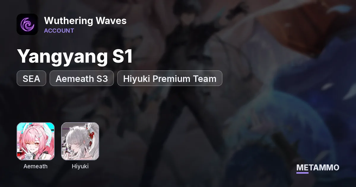 SEA Yangyang S1 | Aemeath S3 | Hiyuki Premium Team - Wuthering Waves account summary