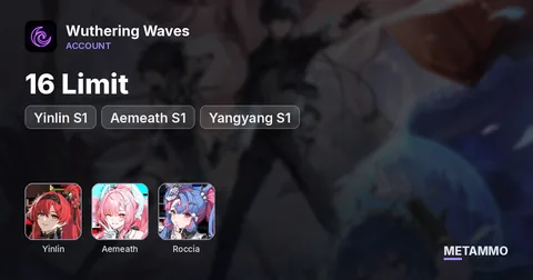 16 Limit | Yinlin S1 | Aemeath S1 | Roccia | Yangyang S1