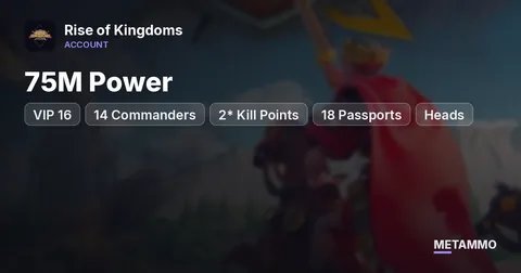75M Power | VIP 16 | 14 Commanders | 2* Kill Points | 18 Passports | Heads | 16 Skin Houses