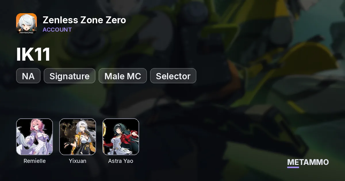NA IK11 | Remielle + Signature | Yixuan + Signature | Astra Yao | Male MC | Selector - Zenless Zone Zero account summary