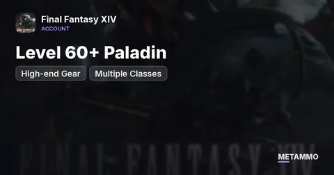 Level 60+ Paladin | High-end Gear | Multiple Classes