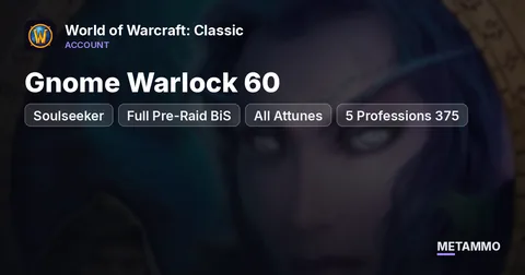 Soulseeker - Gnome Warlock 60 ■ Full Pre-Raid BiS ■ All Attunes ■ 5 Professions 375