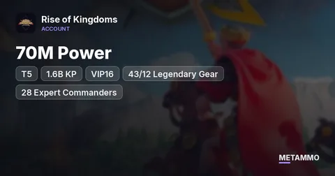 70M Power | T5 | 1.6B KP | VIP16 | 43/12 Legendary Gear | 28 Expert Commanders | Heads | 25 Passports | 4 Farms