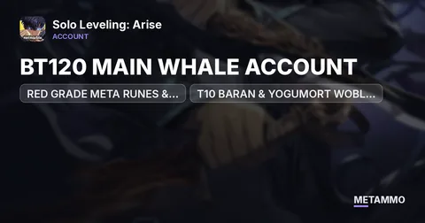 BT120 MAIN WHALE ACCOUNT | RED GRADE META RUNES & BLESSING STONES | T10 BARAN & YOGUMORT WOBL CLEARED