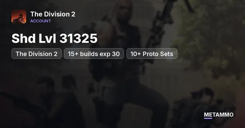The Division 2 | Shd Lvl 31325 | 15+ builds exp 30 | 10+ Proto Sets