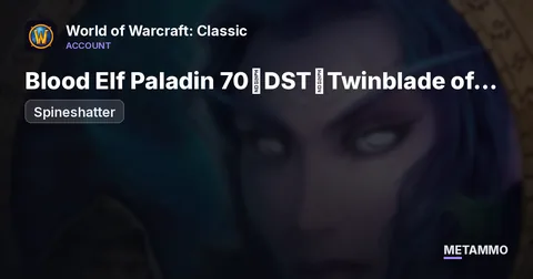 Spineshatter - Blood Elf Paladin 70◈DST◈Twinblade of the Phoenix◈Tier 5 2/5◈ - World of Warcraft: Classic account summary
