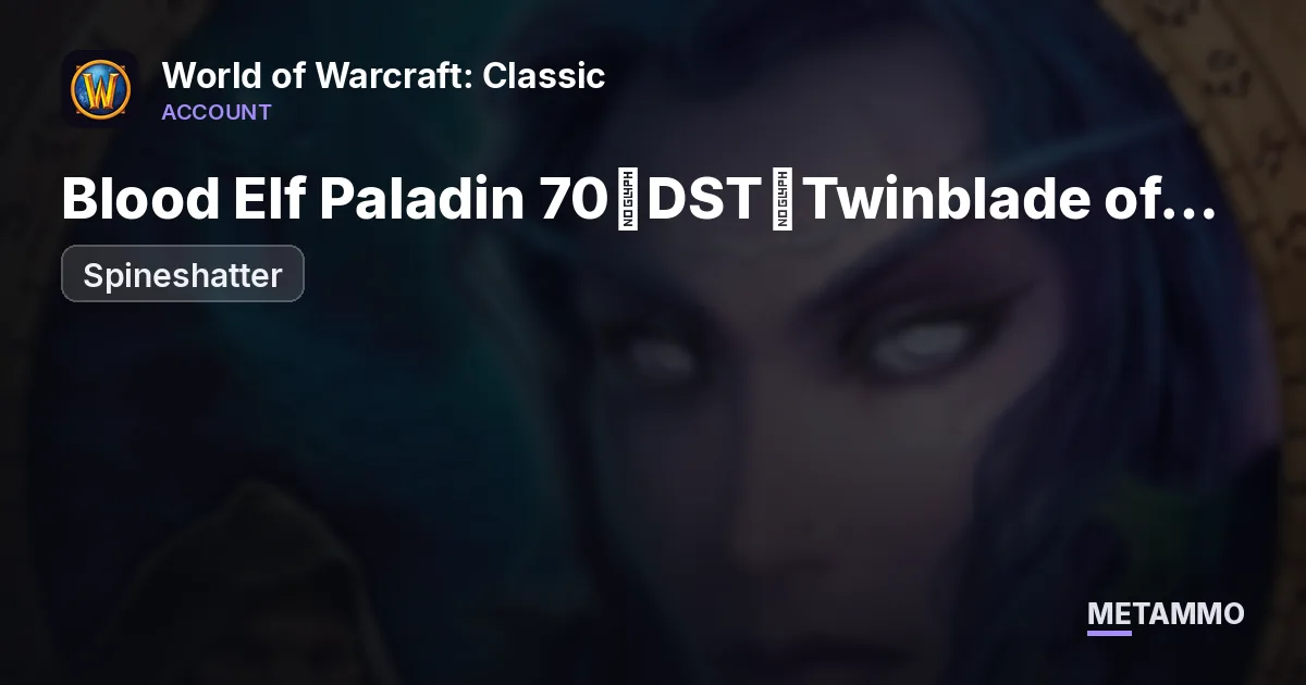 Spineshatter - Blood Elf Paladin 70◈DST◈Twinblade of the Phoenix◈Tier 5 2/5◈ - World of Warcraft: Classic account summary