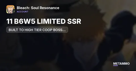 11 B6W5 LIMITED SSR | EVERY B6W5 LIMITED SSR UNIT PRIOR TO BAMBIETTA | BUILT TO HIGH TIER COOP BOSS STANDARDS