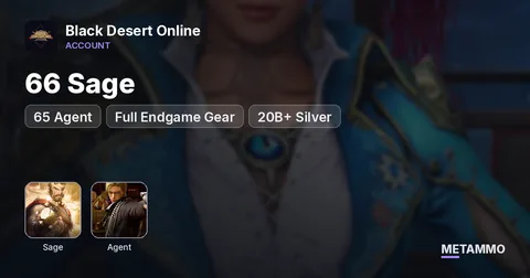 66 Sage | 65 Agent | Full Endgame Gear | 20B+ Silver