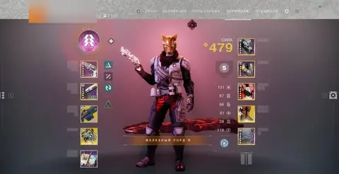 Hunter 460 Light | All DLC Unlocked | China - Destiny 2 account screenshot 1