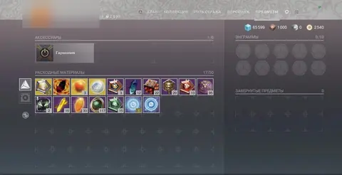 Hunter 460 Light | All DLC Unlocked | China - Destiny 2 account screenshot 3