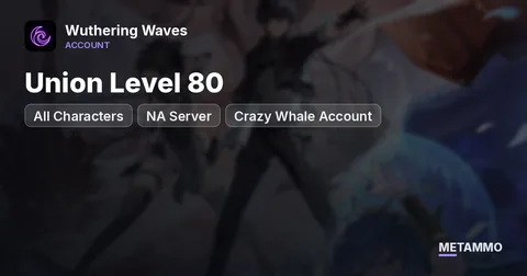 Union Level 80 | All Characters | NA Server | Crazy Whale Account