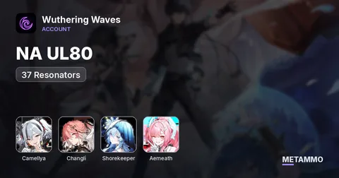 NA UL80 | S6R5 Camellya | S6R1 Changli + Shorekeeper | S3R3 Aemeath | 37 Resonators | Guaranteed 5★