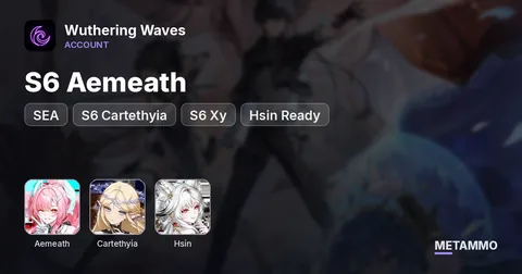 SEA S6 Aemeath | S6 Cartethyia | S6 Xy + Hsin Ready