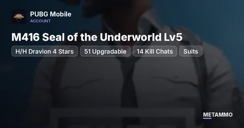 H/H Dravion 4 Stars | M416 Seal of the Underworld Lv5 | 51 Upgradable | 14 Kill Chats | Suits