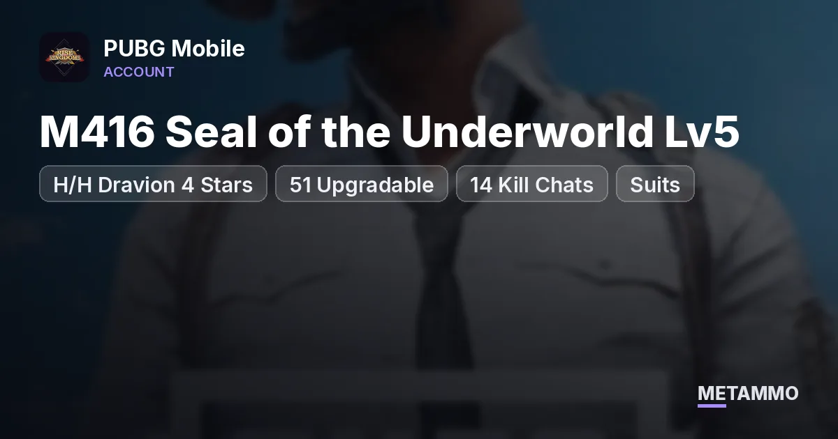 H/H Dravion 4 Stars | M416 Seal of the Underworld Lv5 | 51 Upgradable | 14 Kill Chats | Suits - PUBG Mobile account summary
