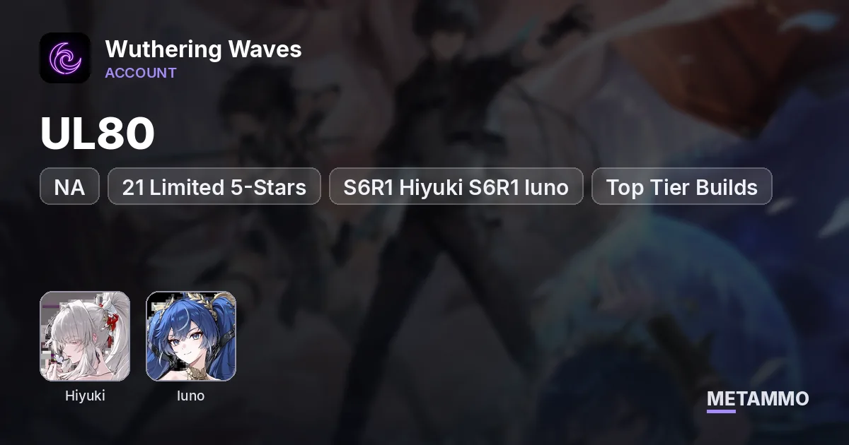 NA | UL80 | 21 Limited 5-Stars | S6R1 Hiyuki S6R1 Iuno | Top Tier Builds - Wuthering Waves account summary