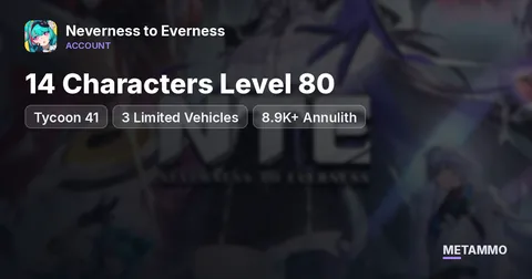 Tycoon 41 | 14 Characters Level 80 | 3 Limited Vehicles | 8.9K+ Annulith