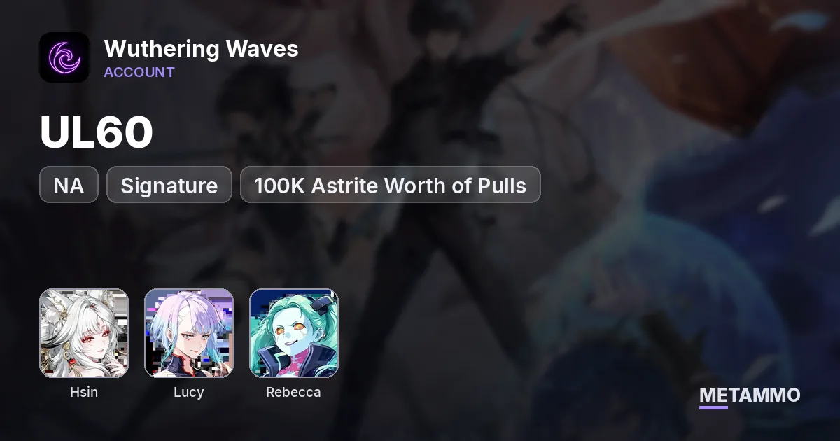 NA UL60 | Hsin + Signature | Lucy + Signature | Rebecca + Signature | 100K Astrite Worth of Pulls - Wuthering Waves account summary