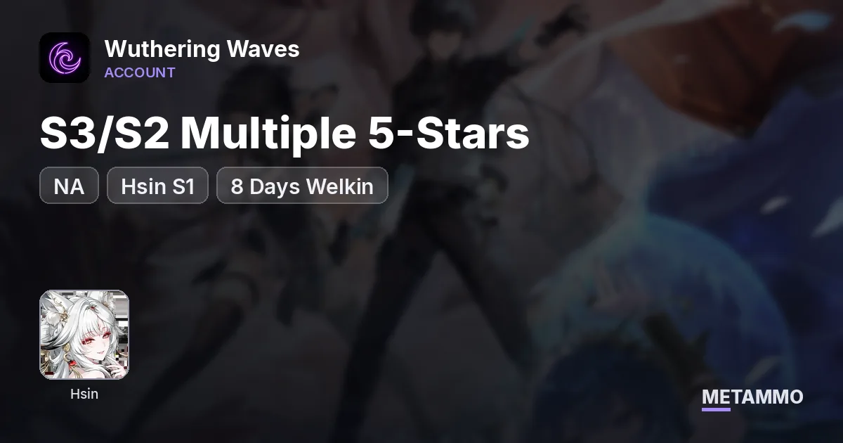 NA | S3/S2 Multiple 5-Stars | Hsin S1 | 8 Days Welkin - Wuthering Waves account summary