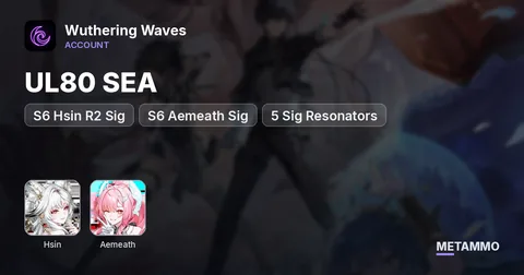UL80 SEA | S6 Hsin R2 Sig | S6 Aemeath Sig | 5 Sig Resonators